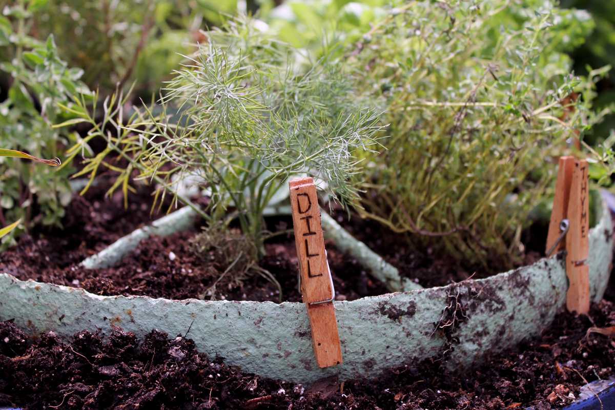 DIY herb marker clamped on planter
